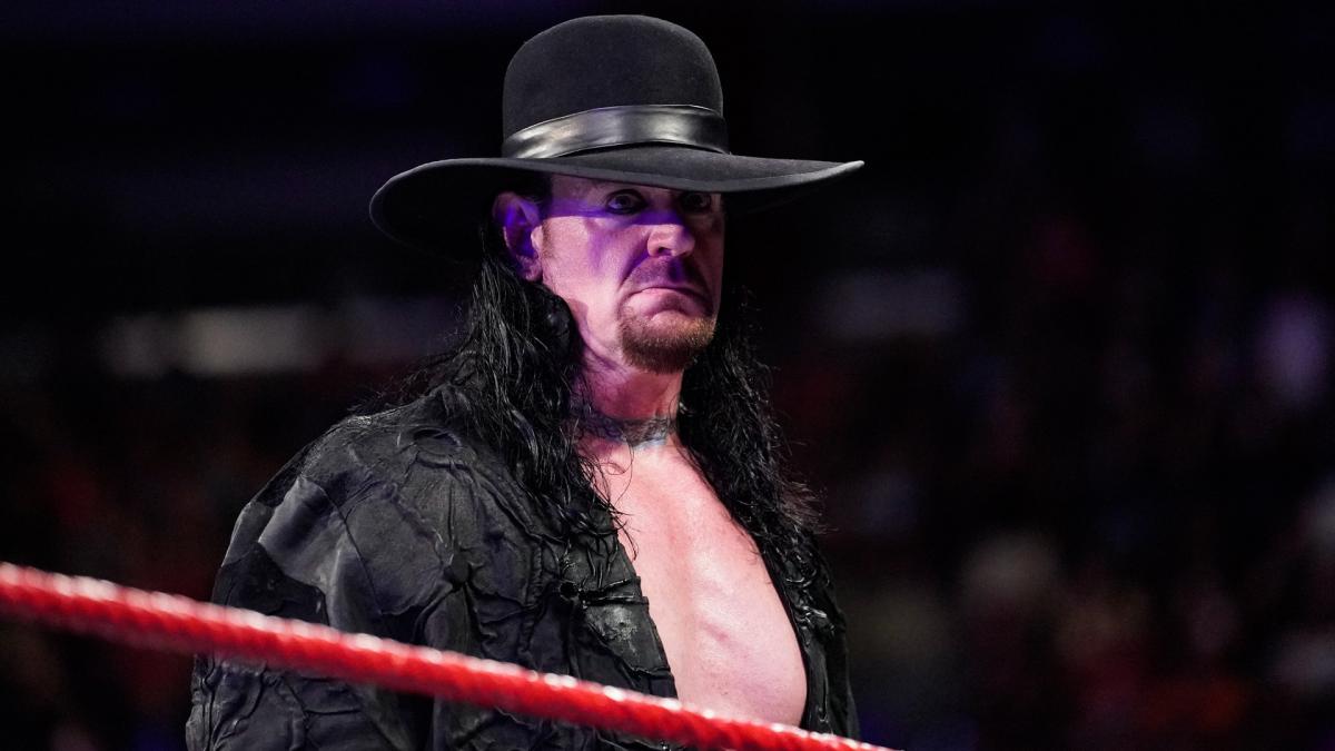 Undertaker spinaroonie