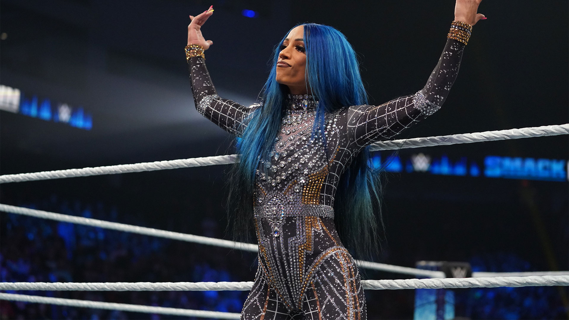 | ROSTERS & STATISTIQUES SMACKDOWN. Sasha-banks-absente-blessee-2022-wwe