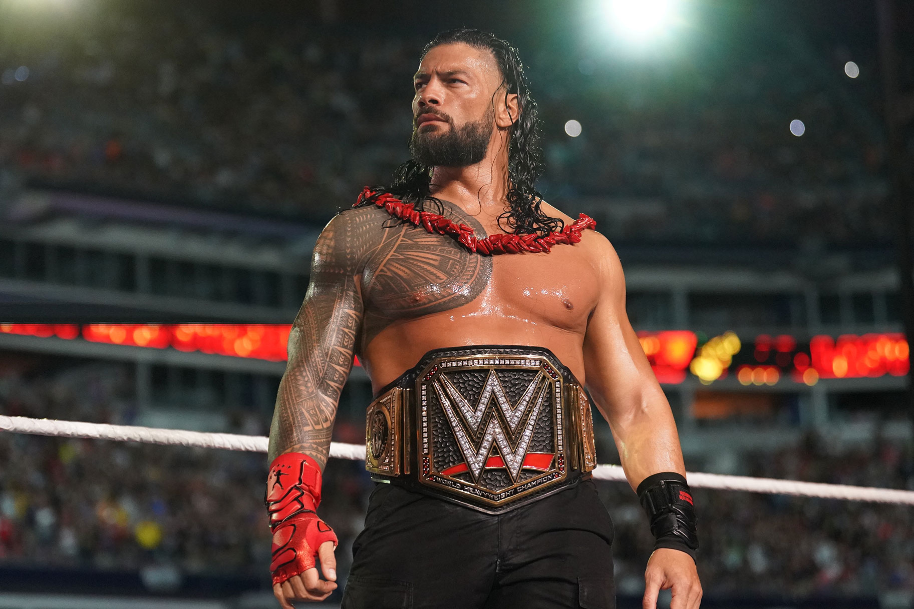 Roman Reigns bat le record de champion de la WWE de CM Punk - Catch-Newz