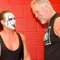 La WWE n'a pas laissé Kevin Nash assister au dernier match de Sting à l'AEW
